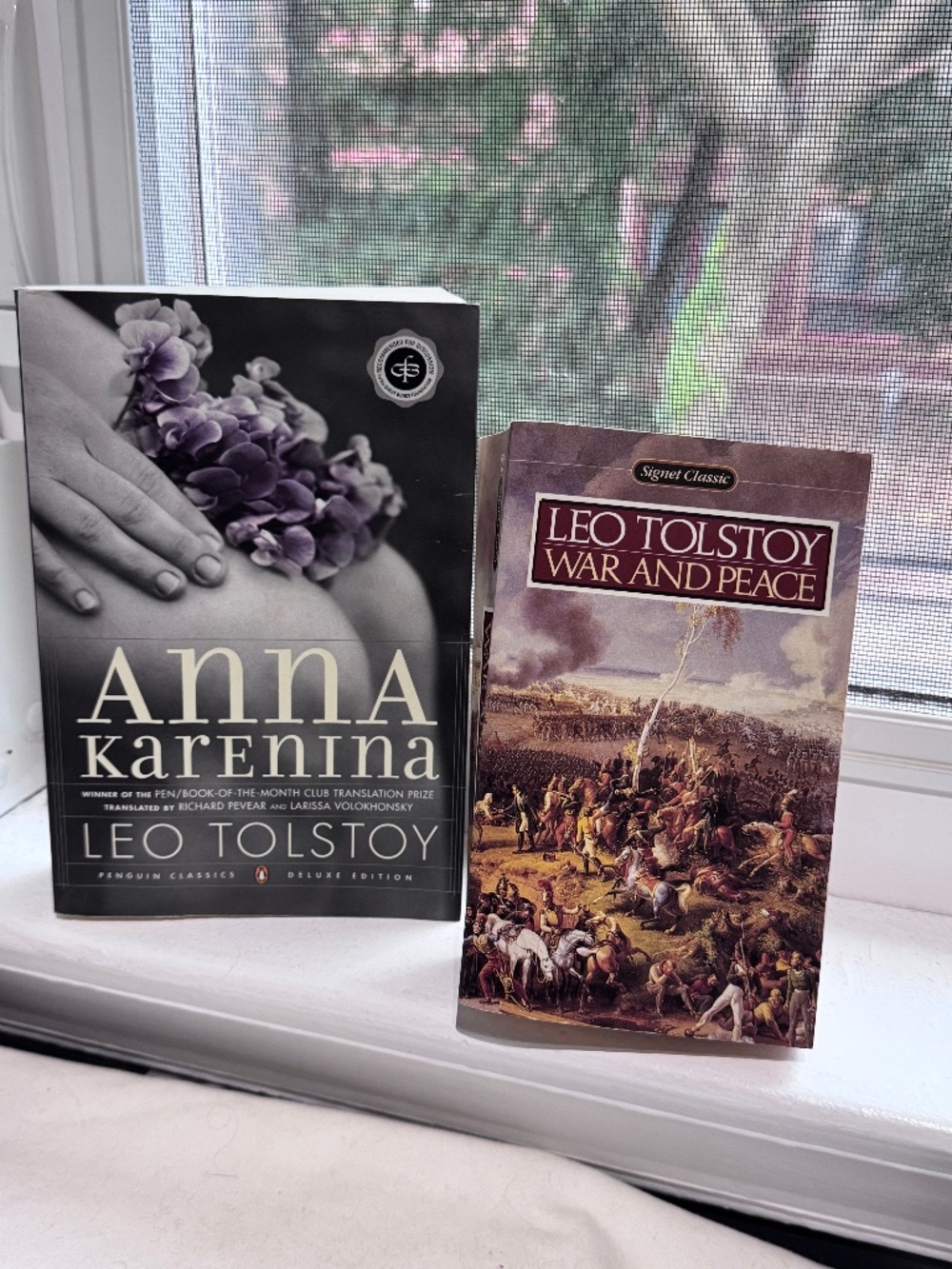 📚✨ CLASSIC LITERATURE DUO | Leo Tolstoy | Anna Karenina & War and Peace ✨📚